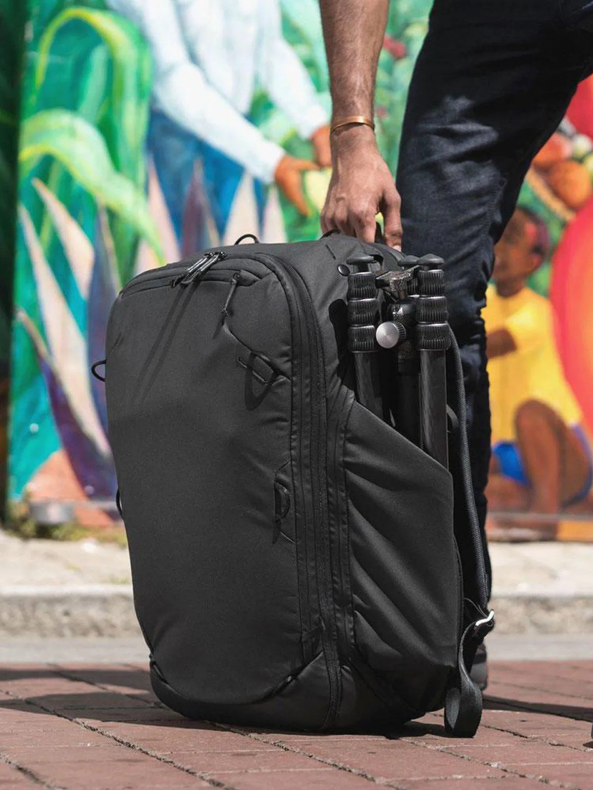 Peak Design Travel Backpack Sage Green 45L
